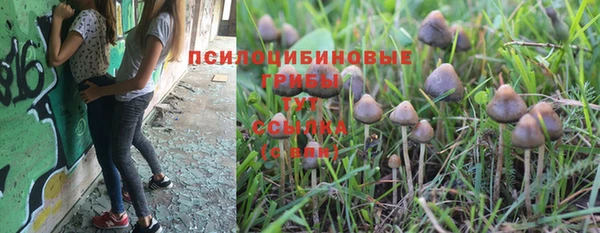 jwh Богданович