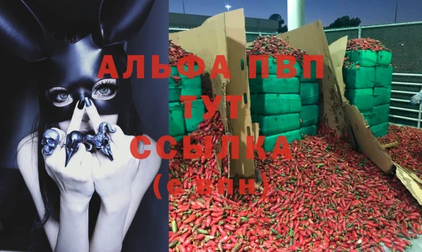jwh Богданович