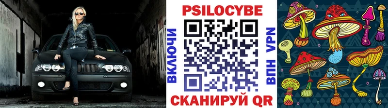 Псилоцибиновые грибы MAGIC MUSHROOMS  Грозный 